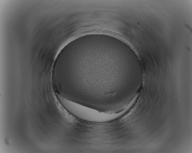 X0000097801530200803281024