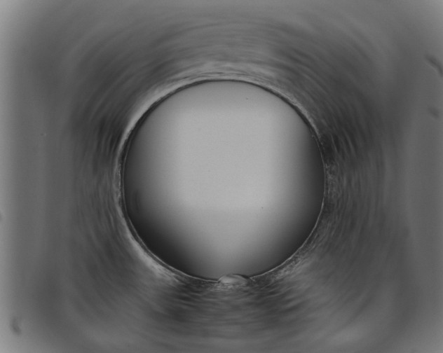 X0000097801531200803281024