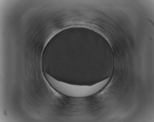 X0000097801533200803281024