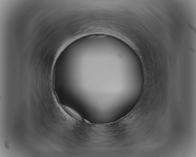 X0000097801536200803281024