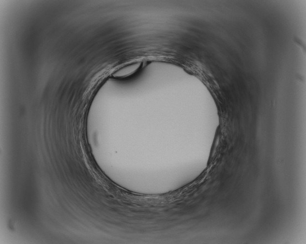 X0000097800001200804041325