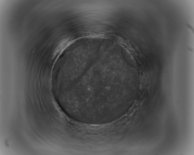 X0000097800002200804041325