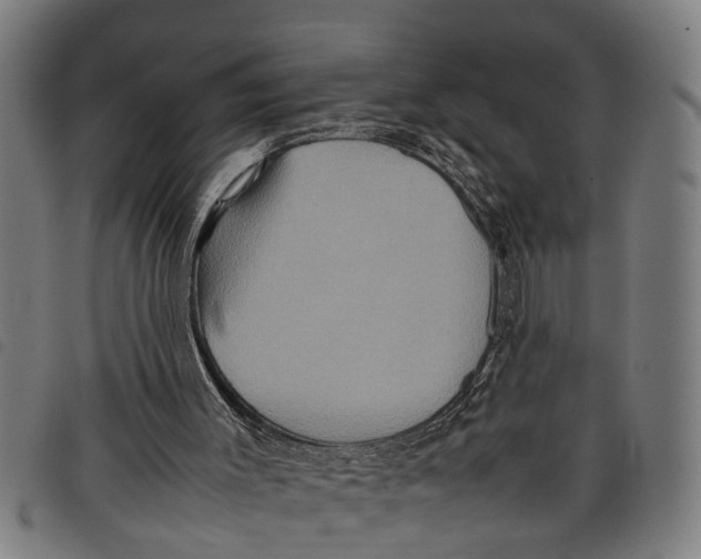 X0000097800003200804041324