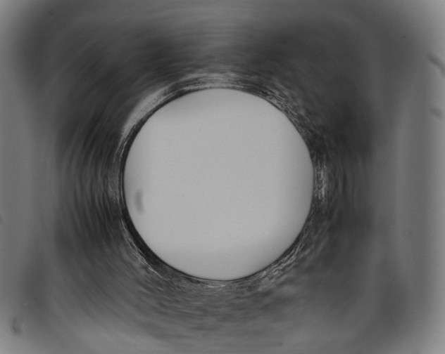 X0000097800004200804041324