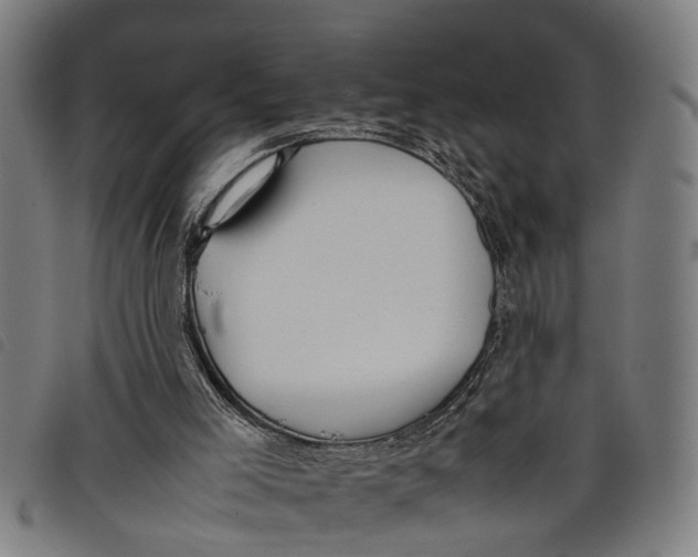 X0000097800005200804041324