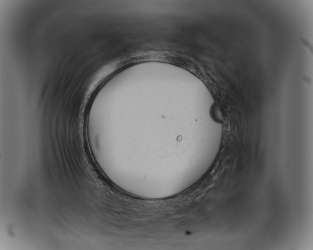 X0000097800006200804041324