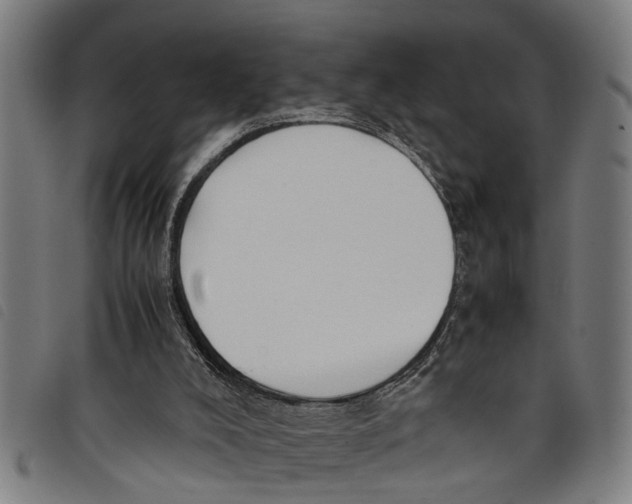 X0000097800008200804041324