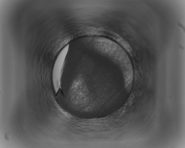 X0000097800009200804041324