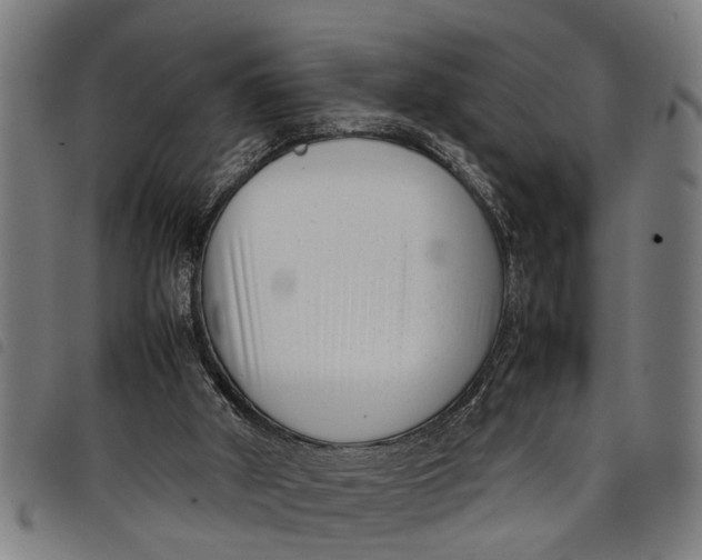 X0000097800010200804041324