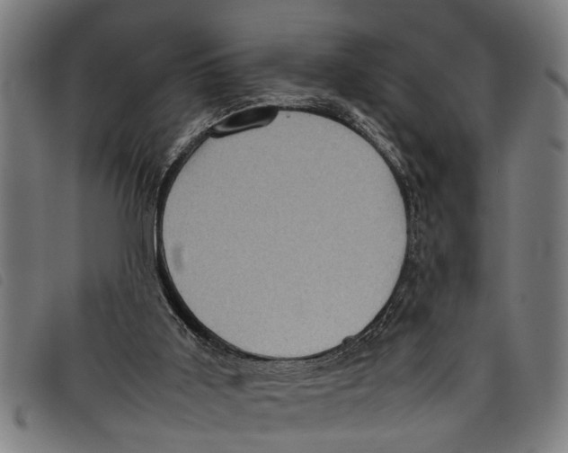 X0000097800011200804041324