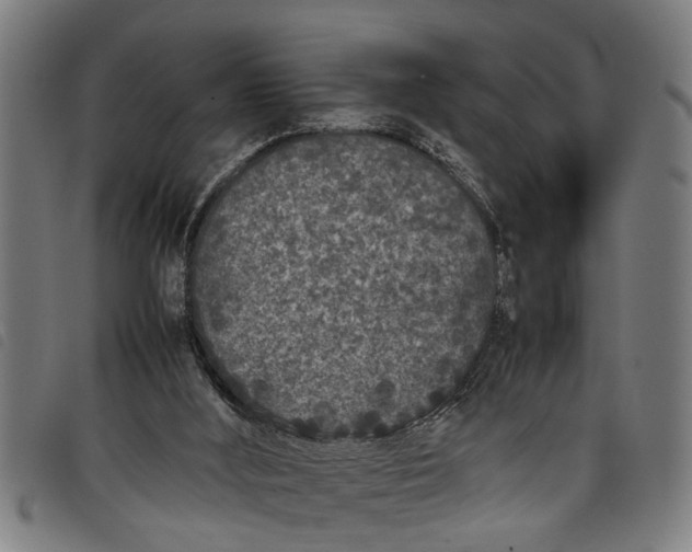 X0000097800012200804041324