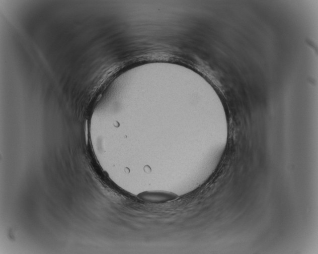 X0000097800013200804041324