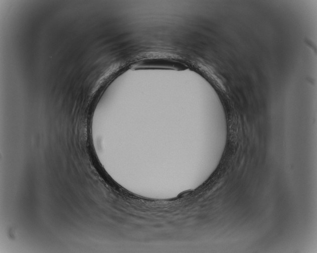 X0000097800015200804041324