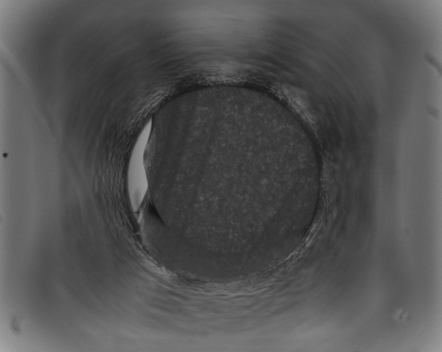 X0000097800017200804041324