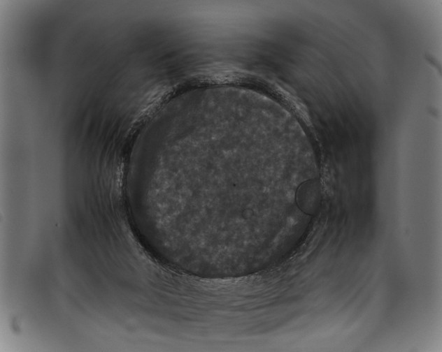 X0000097800018200804041324