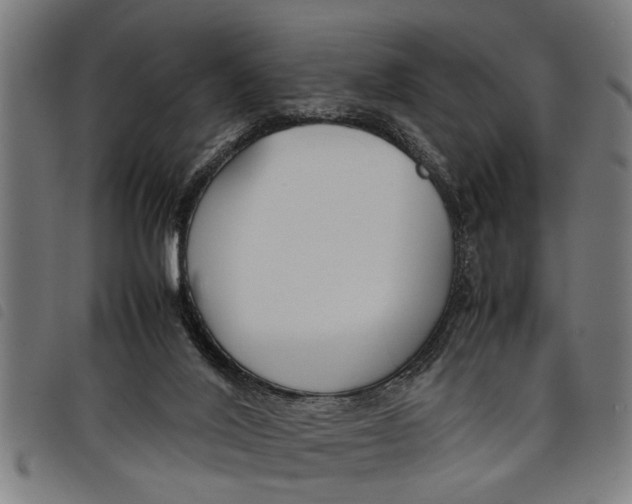 X0000097800020200804041324