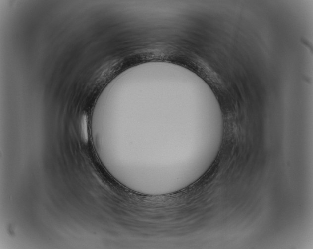 X0000097800022200804041324