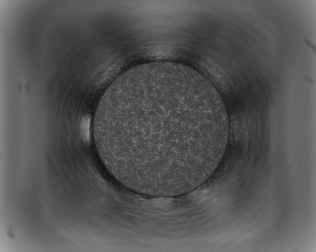 X0000097800024200804041324