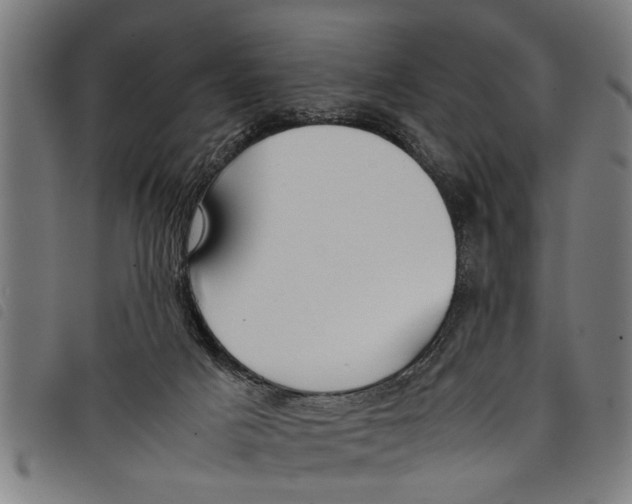 X0000097800025200804041324