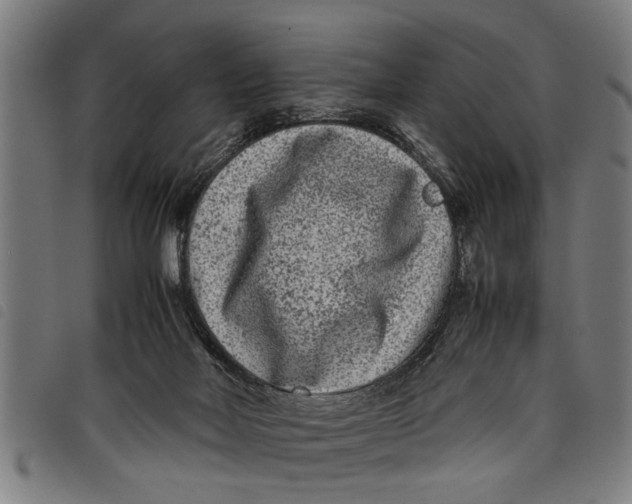 X0000097800026200804041324