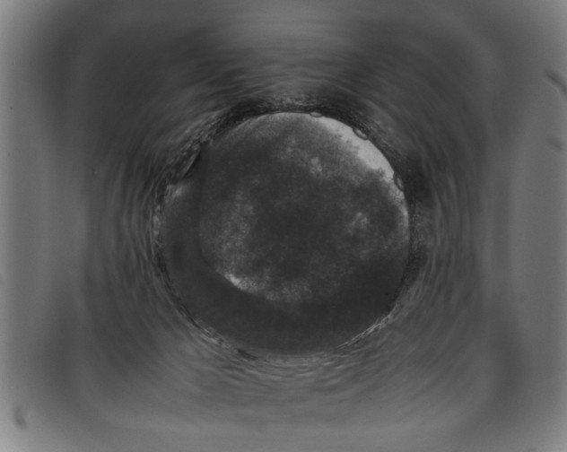 X0000097800029200804041324