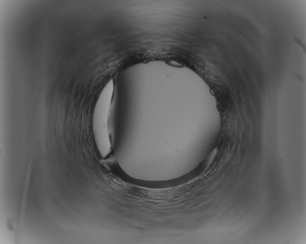 X0000097800033200804041324