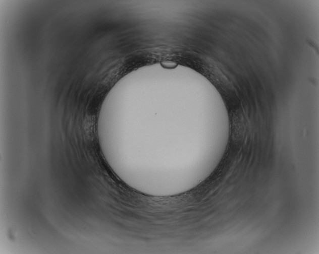 X0000097800034200804041324