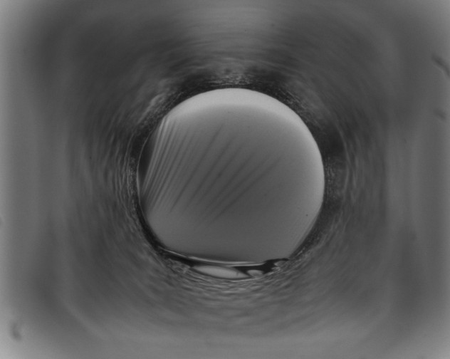 X0000097800035200804041324