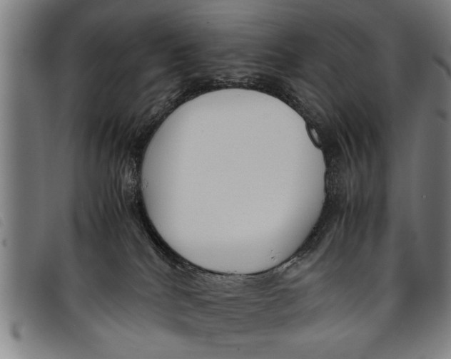 X0000097800040200804041324