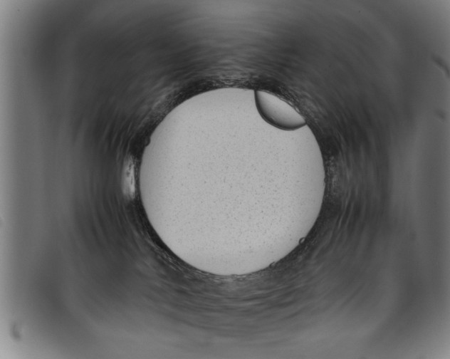 X0000097800042200804041324