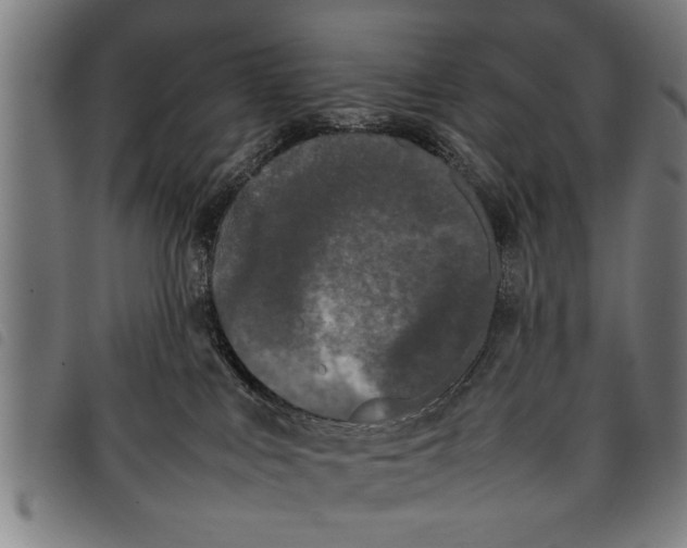 X0000097800043200804041324