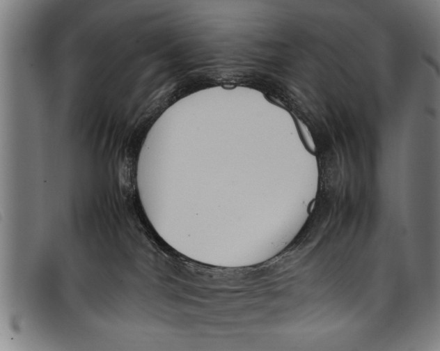 X0000097800044200804041324