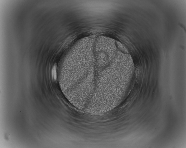 X0000097800046200804041324