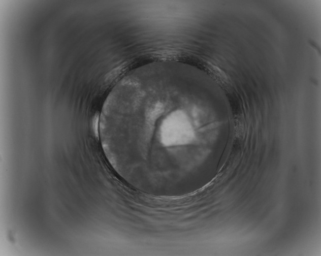 X0000097800047200804041324