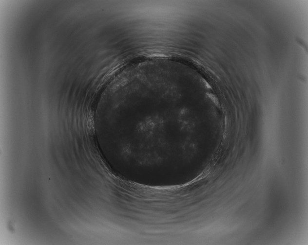 X0000097800048200804041324