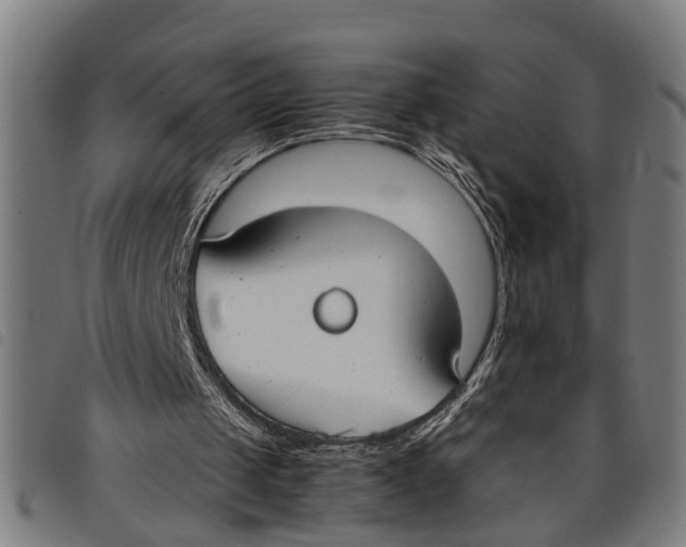 X0000097800049200804041323