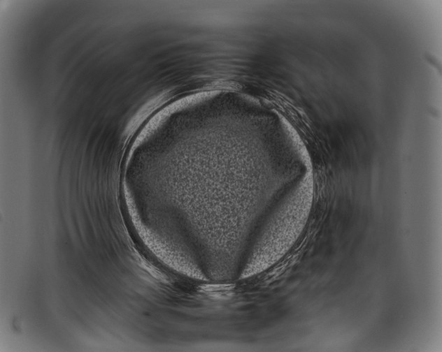 X0000097800051200804041323