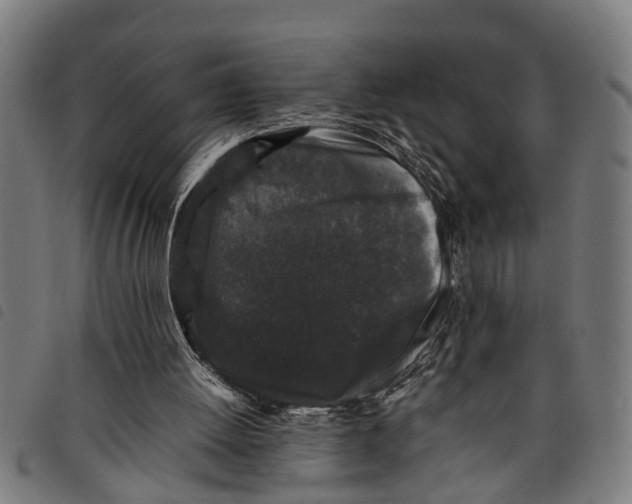 X0000097800052200804041323