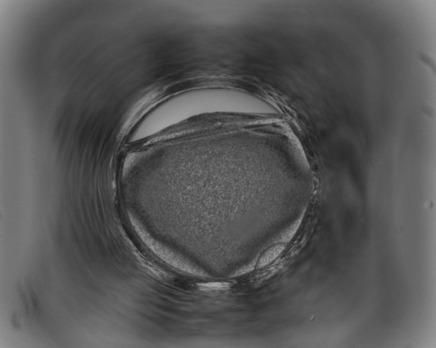 X0000097800053200804041323