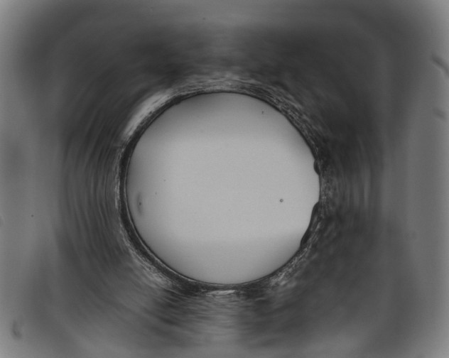 X0000097800054200804041323