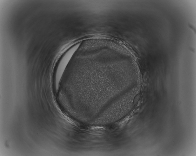 X0000097800055200804041323