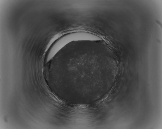 X0000097800056200804041323