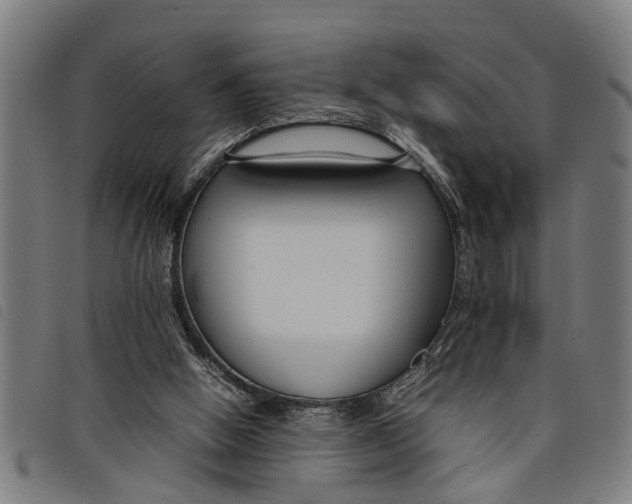 X0000097800058200804041323