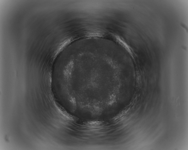 X0000097800059200804041323