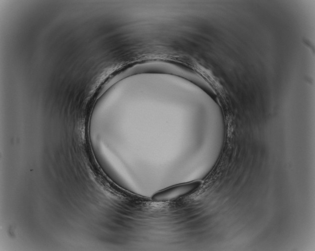 X0000097800060200804041323