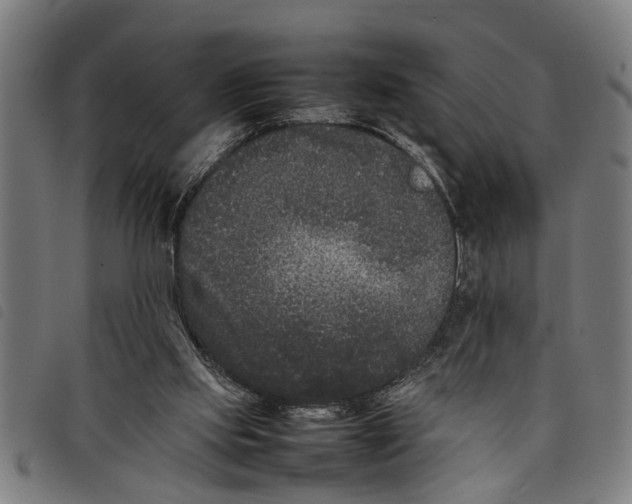 X0000097800061200804041323