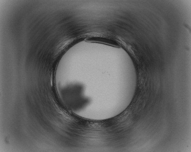 X0000097800062200804041323