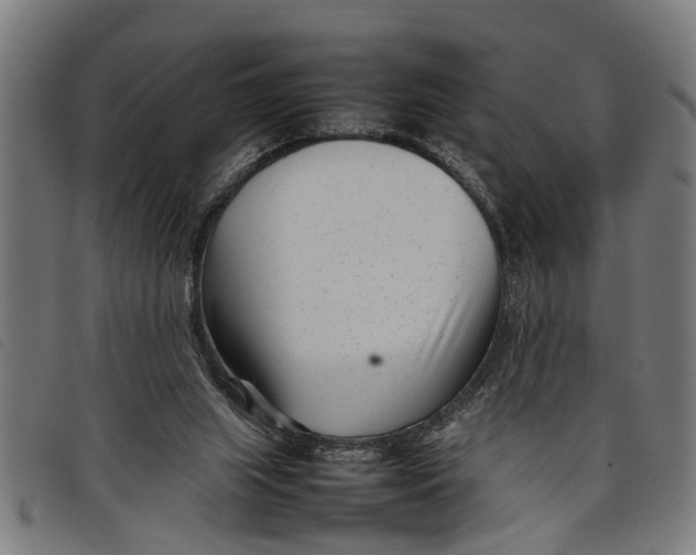 X0000097800063200804041323