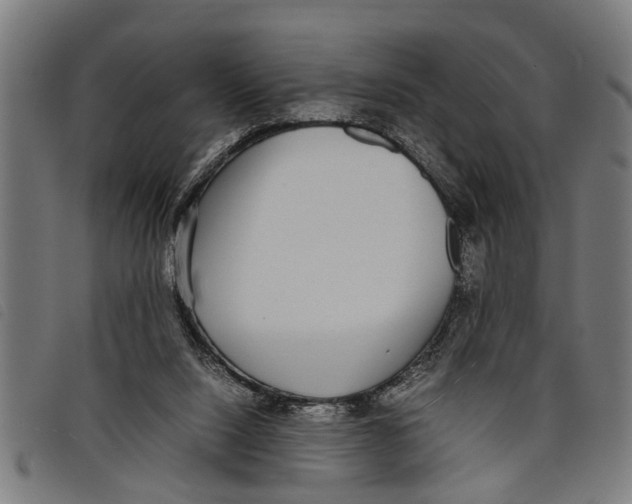 X0000097800064200804041323