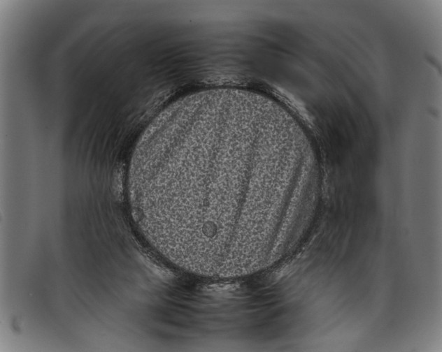 X0000097800065200804041323